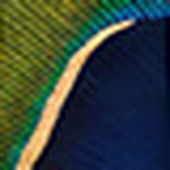 ROUGE G MAJESTC FEATHERS CASE PEACOCK